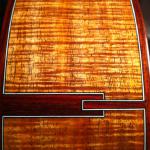 Cocobolo bindings and end graft showcasing the Tasmanian blackwood sides